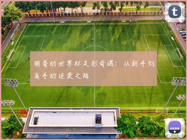 明哥的世界杯足彩奇遇：从新手到高手的逆袭之路