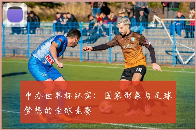 申办世界杯纪实：国家形象与足球梦想的全球竞赛