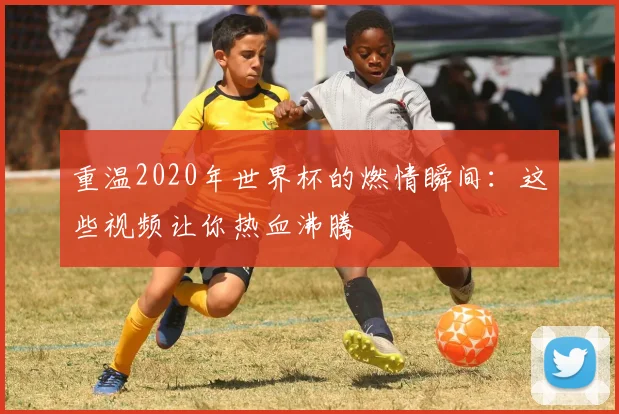 重温2020年世界杯的燃情瞬间：这些视频让你热血沸腾